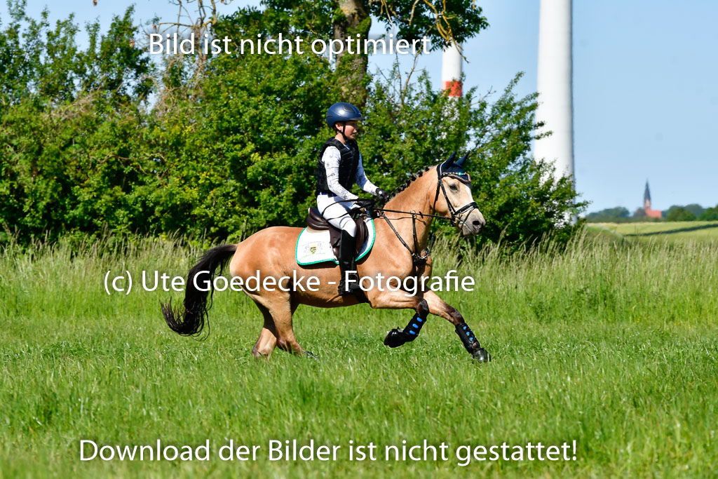 Goldene Schärpe Ponys in Hohen Luckow 1-4.6.23 | 04062023   Oscar Gündel - Gucci_12 