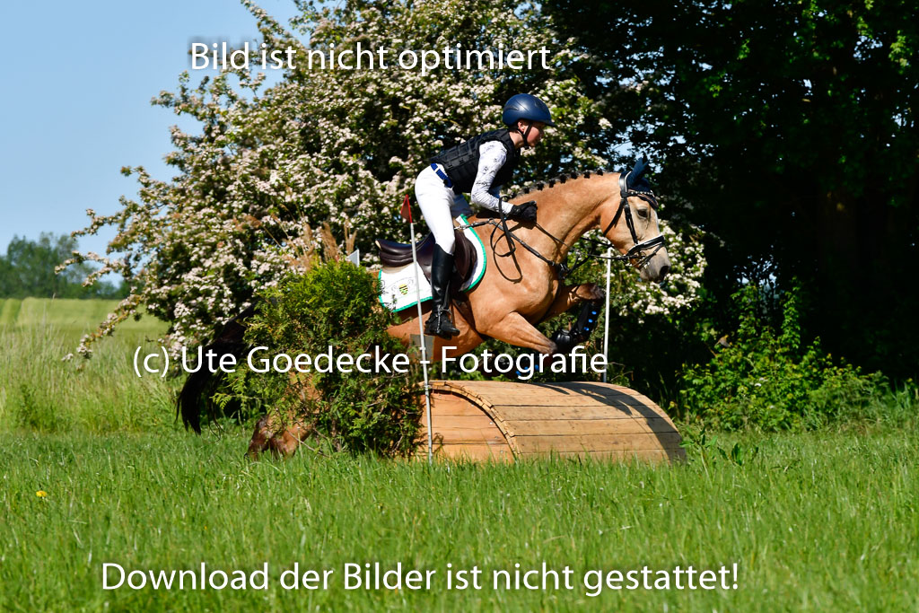 Goldene Schärpe Ponys in Hohen Luckow 1-4.6.23 | 04062023   Oscar Gündel - Gucci_13 