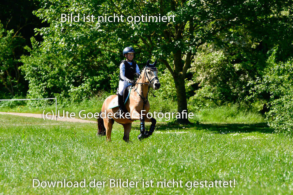 Goldene Schärpe Ponys in Hohen Luckow 1-4.6.23 | 04062023 Oscar Gündel - Gucci_15