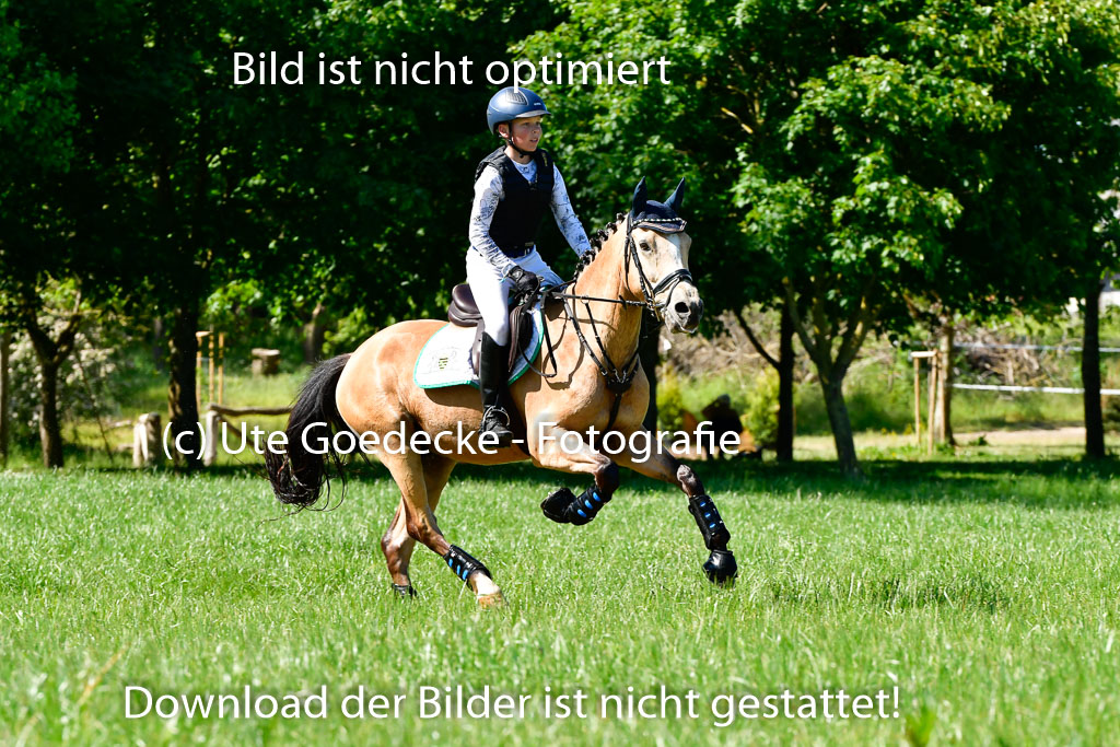 Goldene Schärpe Ponys in Hohen Luckow 1-4.6.23 | 04062023   Oscar Gündel - Gucci_20 