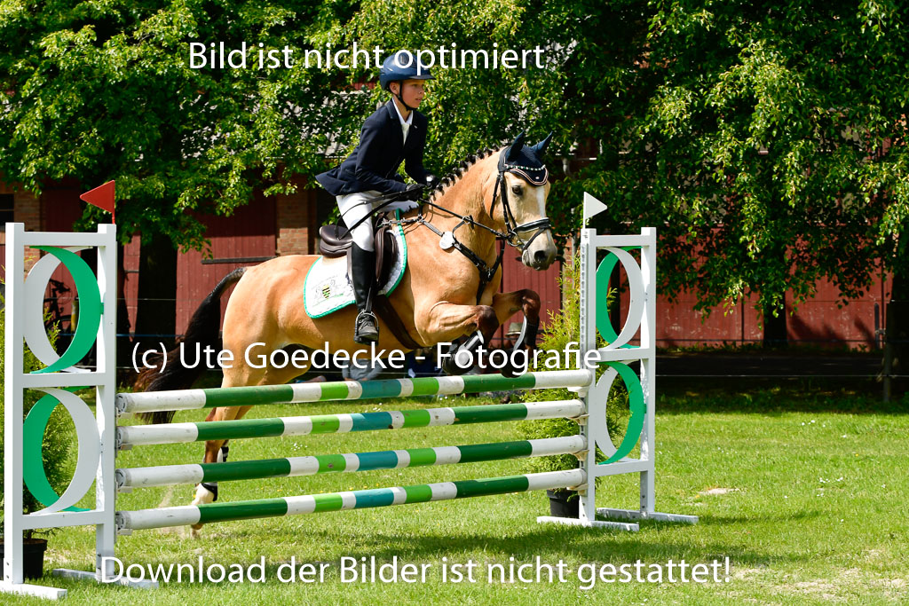 Goldene Schärpe Ponys in Hohen Luckow 1-4.6.23 | 04062023   Oscar Gündel - Gucci_30 