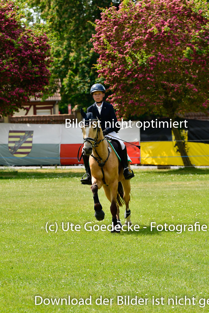 Goldene Schärpe Ponys in Hohen Luckow 1-4.6.23 | 04062023   Oscar Gündel - Gucci_34 