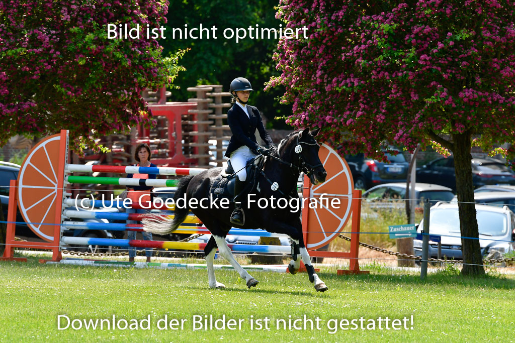 Goldene Schärpe Ponys in Hohen Luckow 1-4.6.23 | 04062023 Pauline Roskothen - Pelle_16 