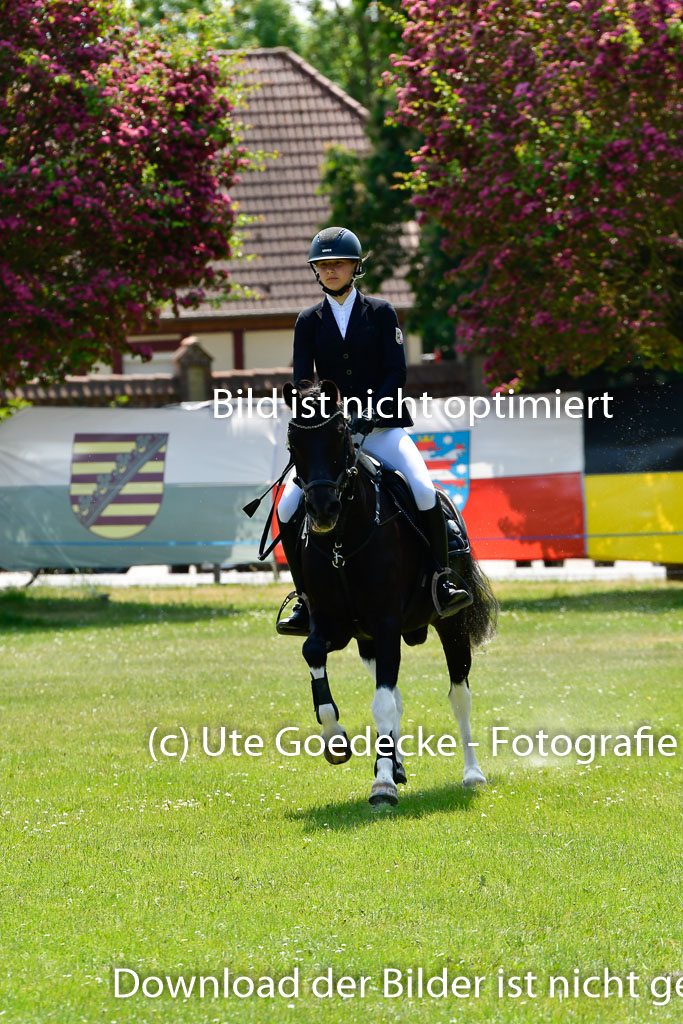 Goldene Schärpe Ponys in Hohen Luckow 1-4.6.23 | 04062023 Pauline Roskothen - Pelle_20 