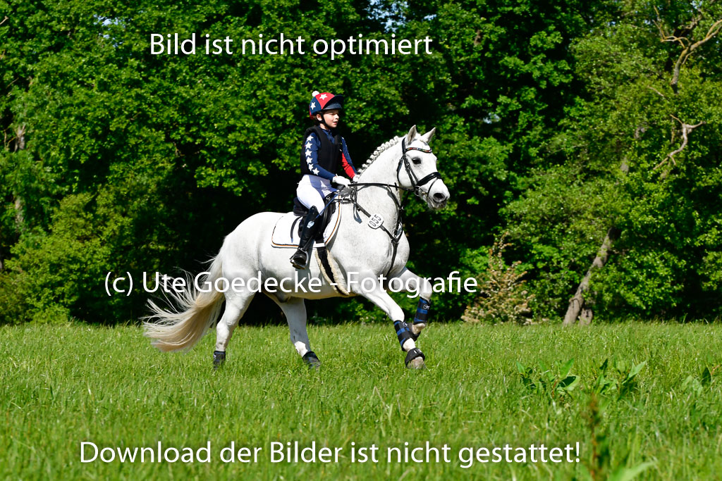Goldene Schärpe Ponys in Hohen Luckow 1-4.6.23 | 04062023 Romy Koch - Killacloran Cove_07