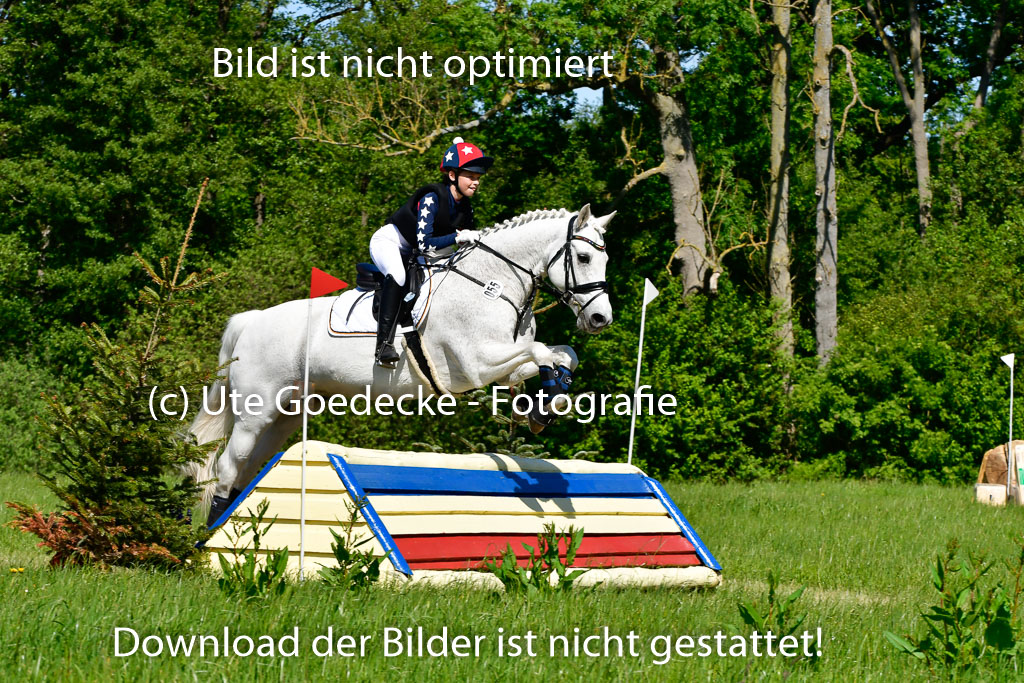 Goldene Schärpe Ponys in Hohen Luckow 1-4.6.23 | 04062023 Romy Koch - Killacloran Cove_08