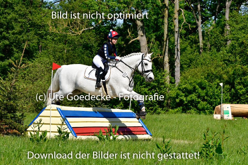 Goldene Schärpe Ponys in Hohen Luckow 1-4.6.23 | 04062023 Romy Koch - Killacloran Cove_09