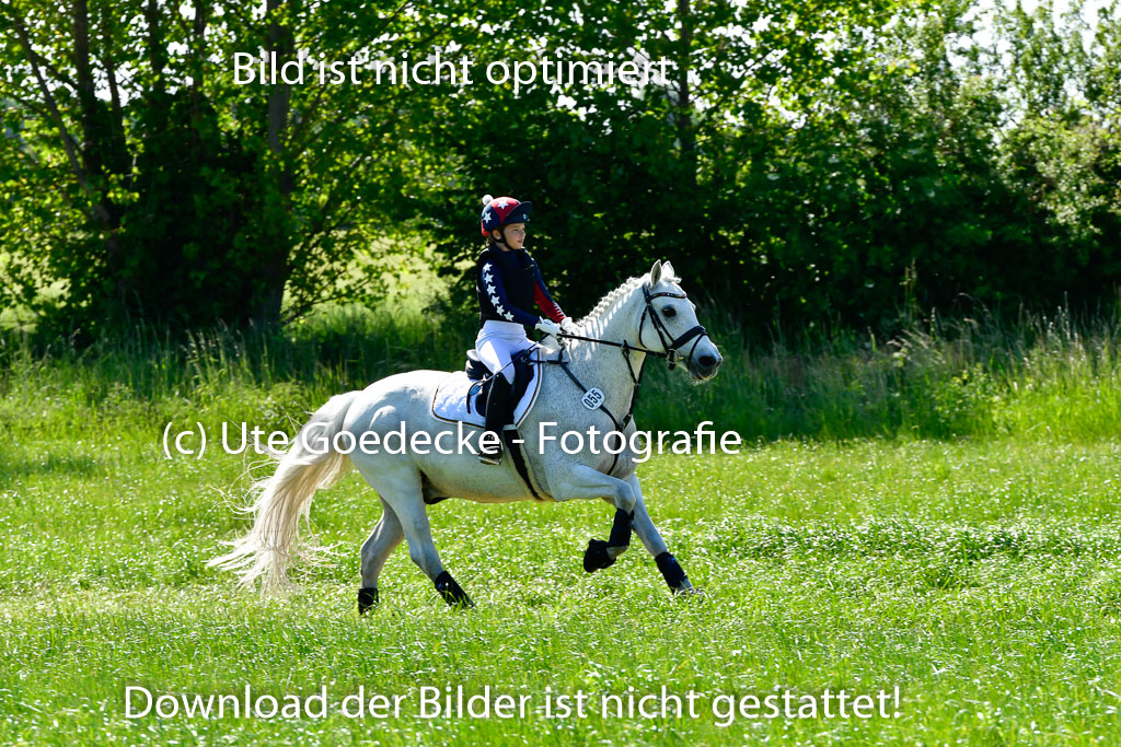 Goldene Schärpe Ponys in Hohen Luckow 1-4.6.23 | 04062023 Romy Koch - Killacloran Cove_10 