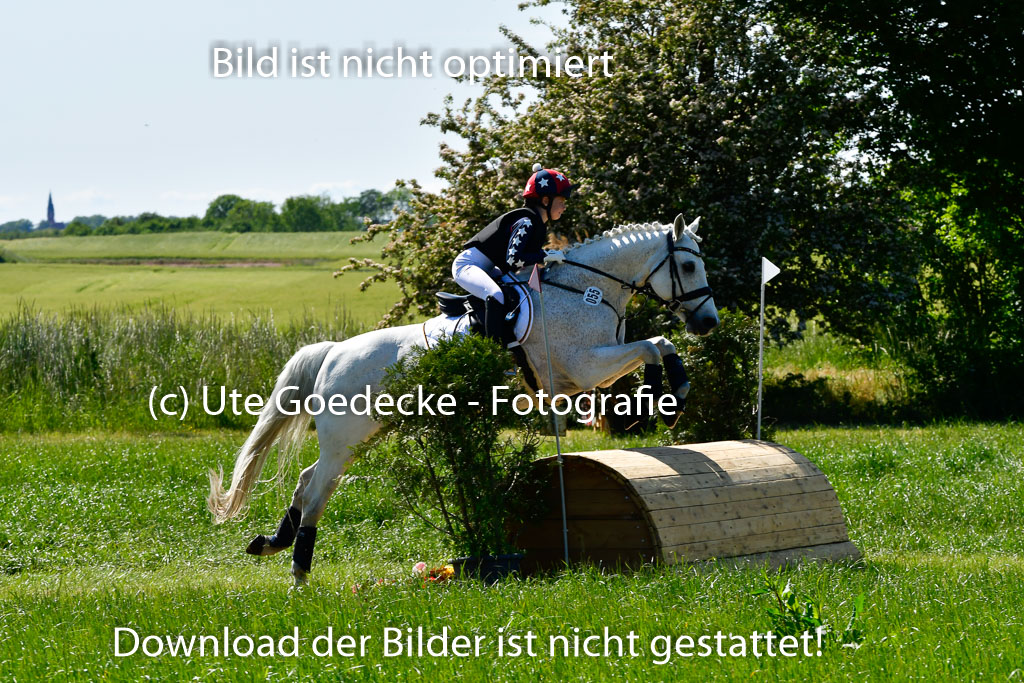 Goldene Schärpe Ponys in Hohen Luckow 1-4.6.23 | 04062023 Romy Koch - Killacloran Cove_12