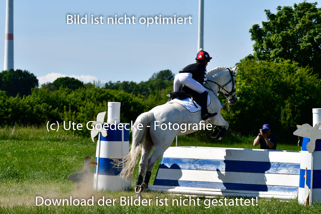 Goldene Schärpe Ponys in Hohen Luckow 1-4.6.23 | 04062023 Romy Koch - Killacloran Cove_19 