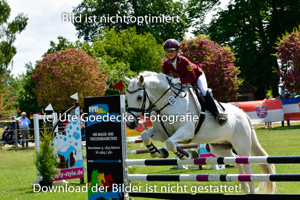 Goldene Schärpe Ponys in Hohen Luckow 1-4.6.23 | 04062023 Romy Koch - Killacloran Cove_32
