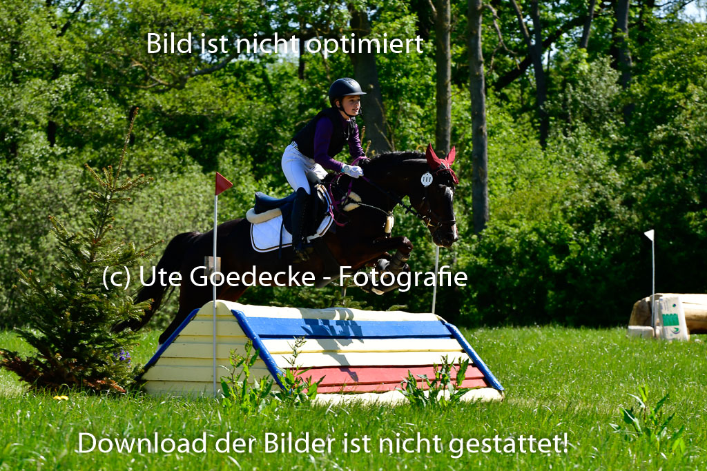 Goldene Schärpe Ponys in Hohen Luckow 1-4.6.23 | 04062023 Silvia Hofer - Ultima_05 