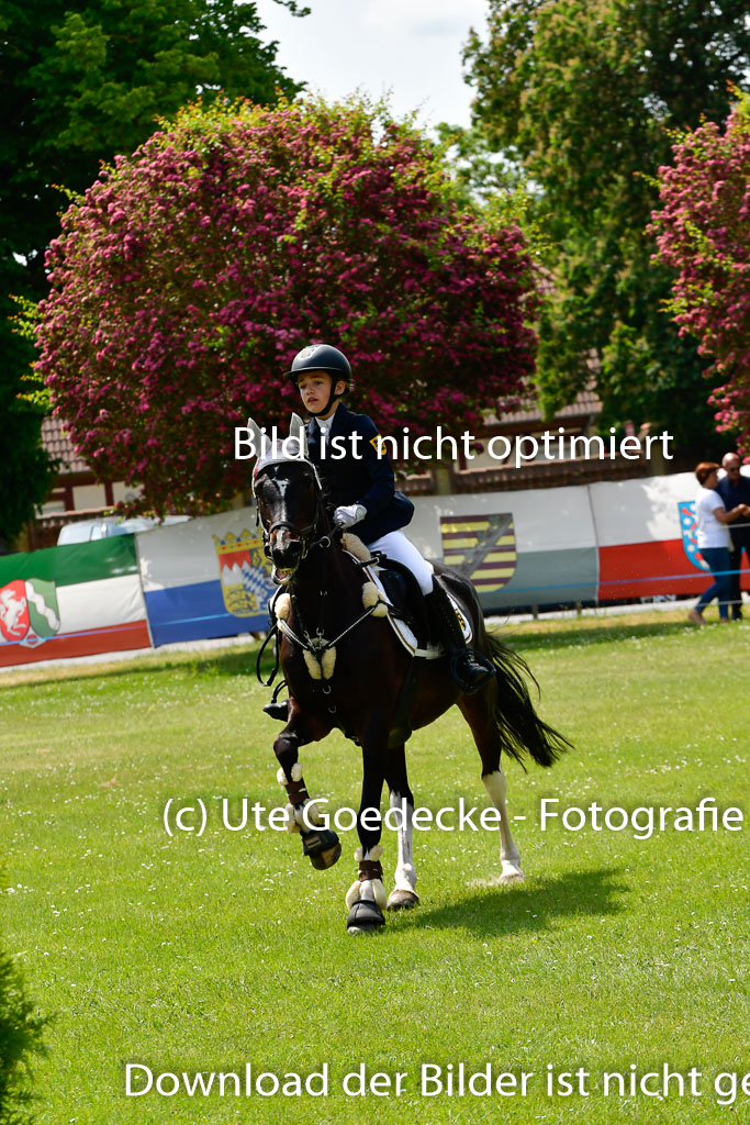 Goldene Schärpe Ponys in Hohen Luckow 1-4.6.23 | 04062023 Silvia Hofer - Ultima_20 