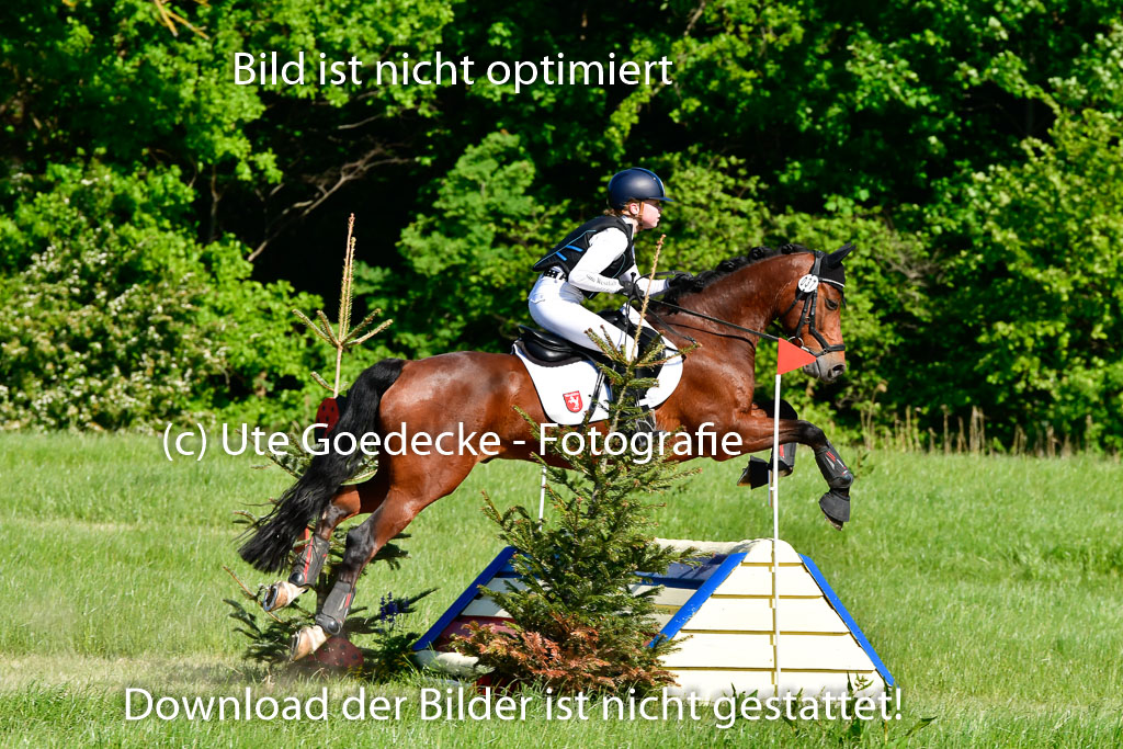 Goldene Schärpe Ponys in Hohen Luckow 1-4.6.23 | 04062023 Sophia Bußmann - El Pleasure_08 