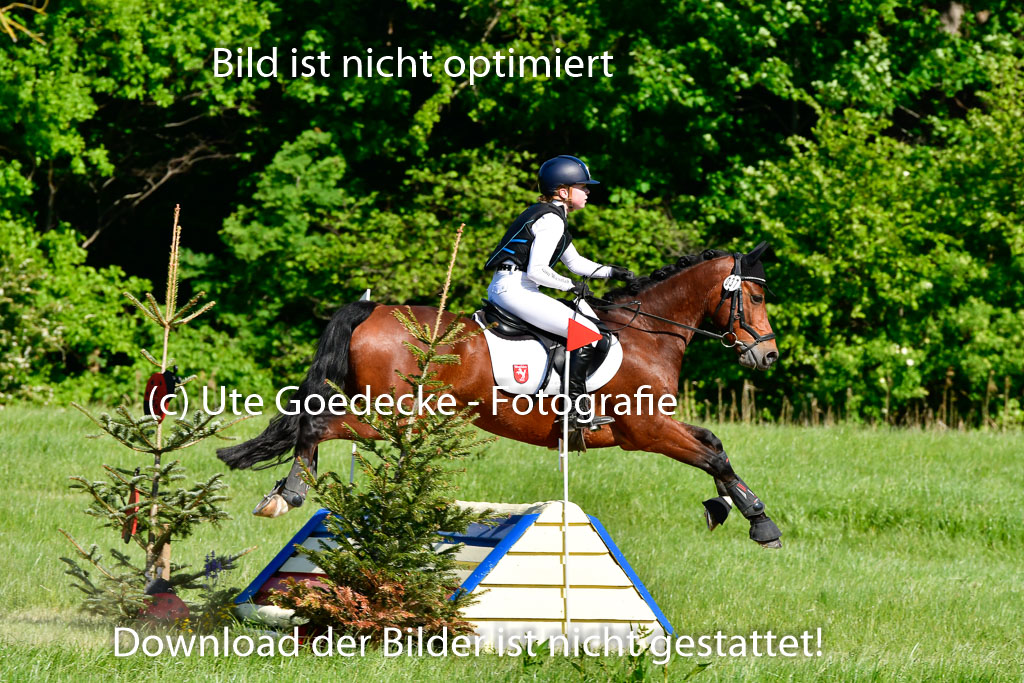 Goldene Schärpe Ponys in Hohen Luckow 1-4.6.23 | 04062023 Sophia Bußmann - El Pleasure_09 