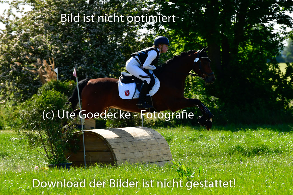 Goldene Schärpe Ponys in Hohen Luckow 1-4.6.23 | 04062023 Sophia Bußmann - El Pleasure_12 