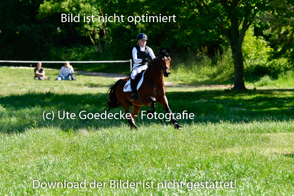 Goldene Schärpe Ponys in Hohen Luckow 1-4.6.23 | 04062023 Sophia Bußmann - El Pleasure_13 