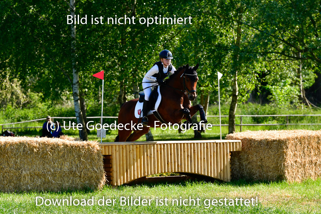 Goldene Schärpe Ponys in Hohen Luckow 1-4.6.23 | 04062023 Sophia Bußmann - El Pleasure_16 