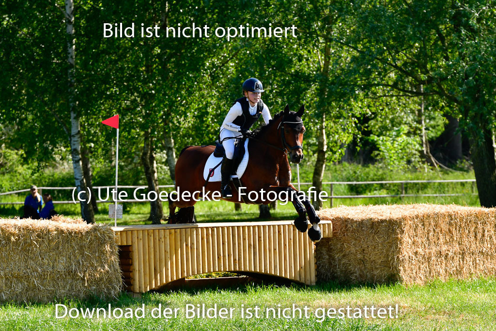 Goldene Schärpe Ponys in Hohen Luckow 1-4.6.23 | 04062023 Sophia Bußmann - El Pleasure_17 