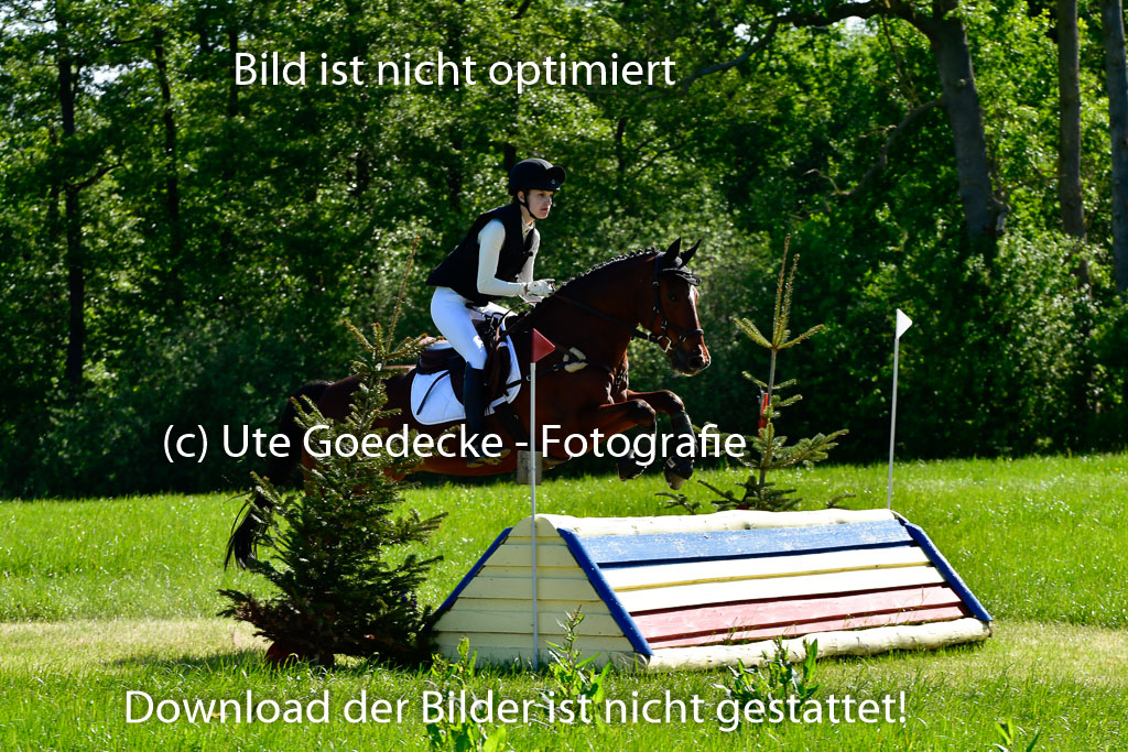 Goldene Schärpe Ponys in Hohen Luckow 1-4.6.23 | 04062023 Thea Schädlich - Sunshine Fred Durst_02 