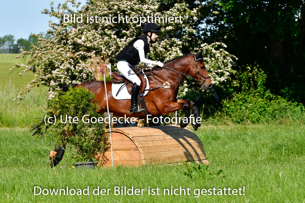 Goldene Schärpe Ponys in Hohen Luckow 1-4.6.23 | 04062023 Thea Schädlich - Sunshine Fred Durst_07 