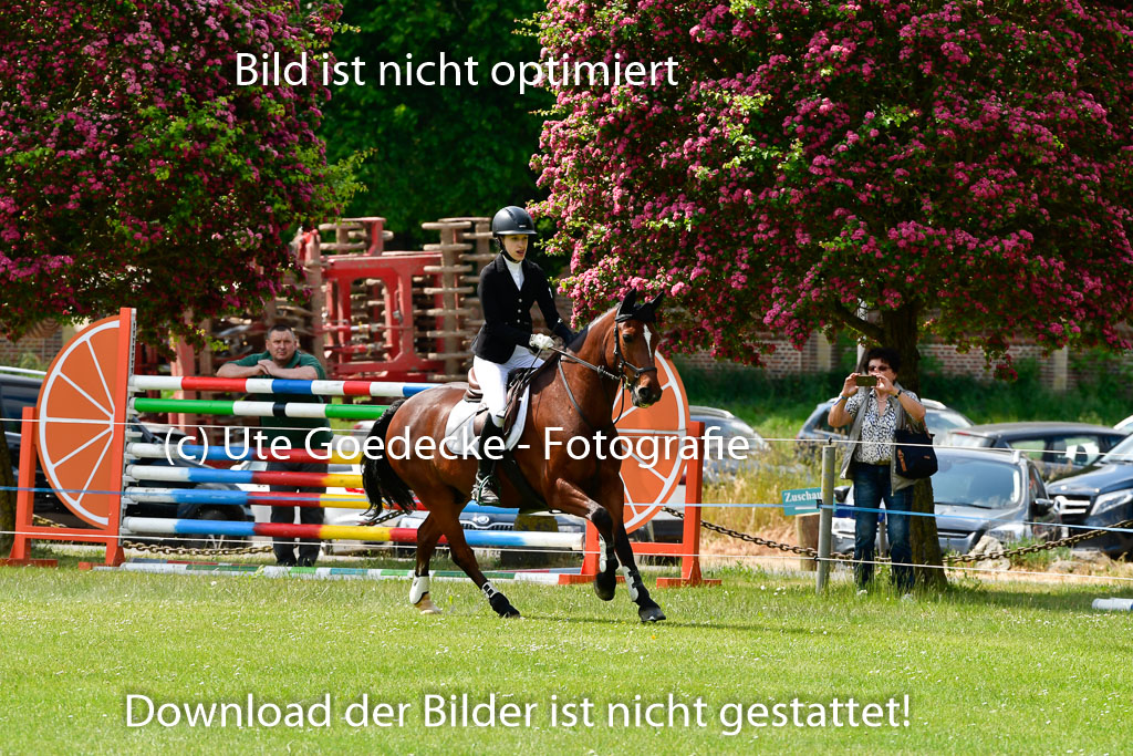 Goldene Schärpe Ponys in Hohen Luckow 1-4.6.23 | 04062023 Thea Schädlich - Sunshine Fred Durst_14 