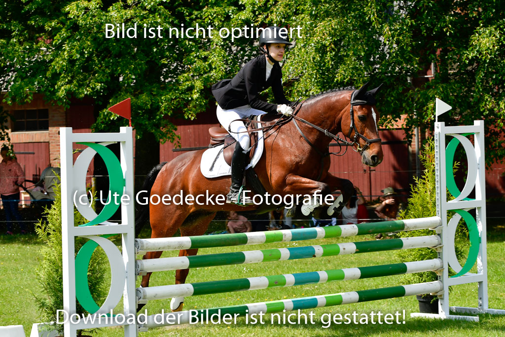 Goldene Schärpe Ponys in Hohen Luckow 1-4.6.23 | 04062023 Thea Schädlich - Sunshine Fred Durst_16 