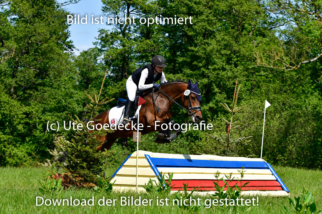 Goldene Schärpe Ponys in Hohen Luckow 1-4.6.23 | 04062023 Toni F Karthäuser - Nouvaliero_05 