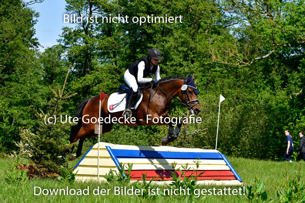 Goldene Schärpe Ponys in Hohen Luckow 1-4.6.23 | 04062023 Toni F Karthäuser - Nouvaliero_06