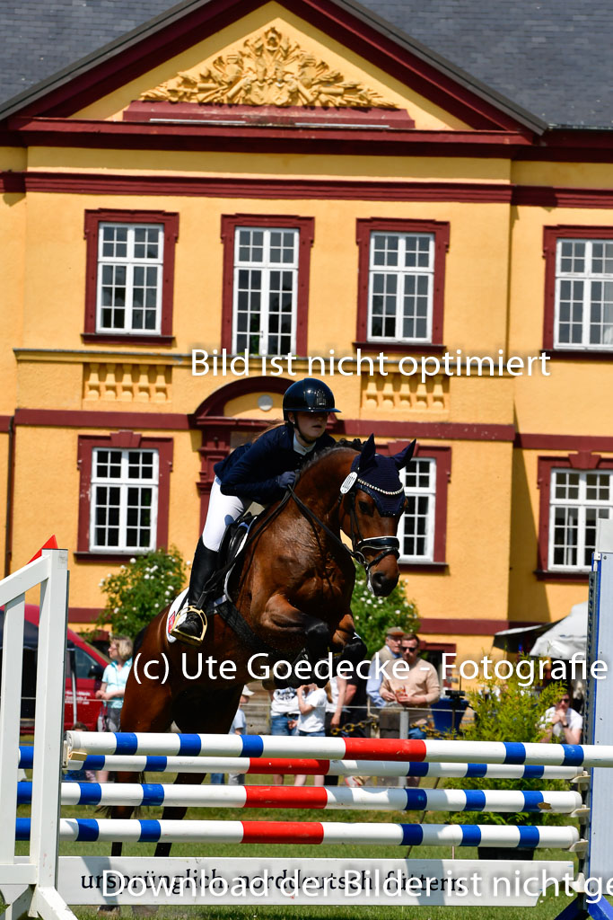 Goldene Schärpe Ponys in Hohen Luckow 1-4.6.23 | 04062023 Toni F Karthäuser - Nouvaliero_14 