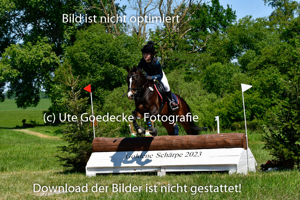 Goldene Schärpe Ponys in Hohen Luckow 1-4.6.23 | 04062023 Victoria Hey - Adelie_01 