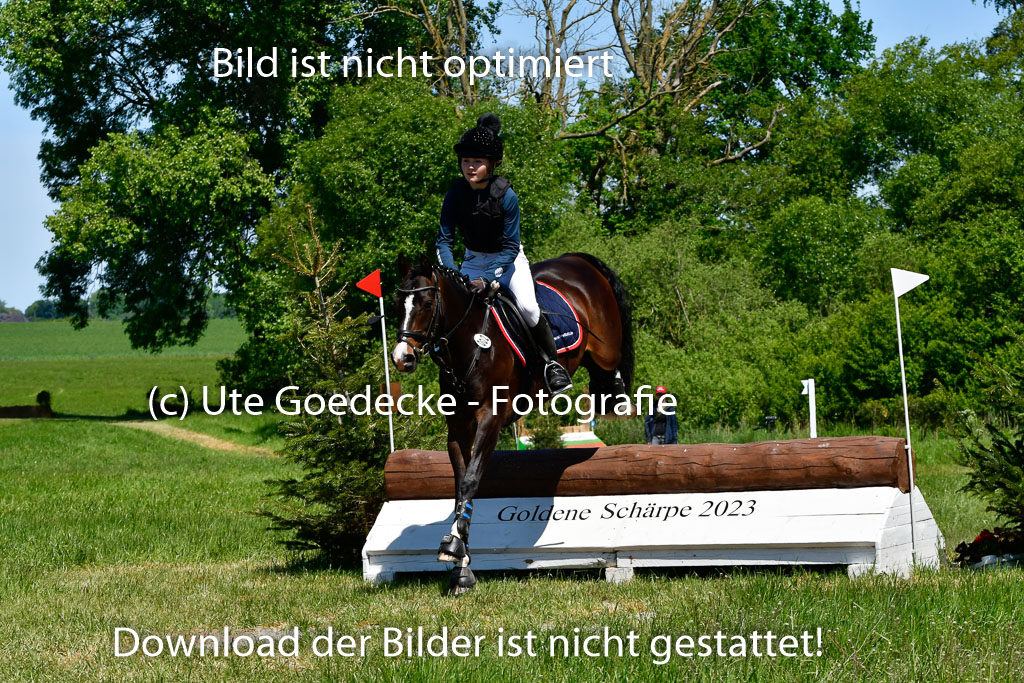 Goldene Schärpe Ponys in Hohen Luckow 1-4.6.23 | 04062023 Victoria Hey - Adelie_02 