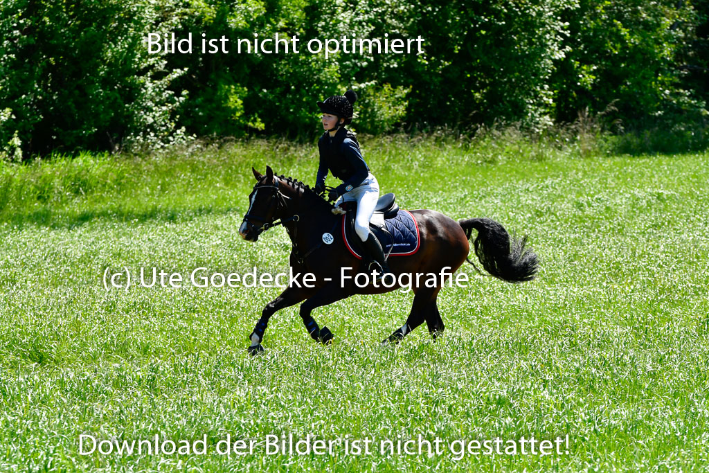 Goldene Schärpe Ponys in Hohen Luckow 1-4.6.23 | 04062023 Victoria Hey - Adelie_05 