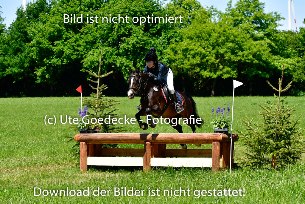 Goldene Schärpe Ponys in Hohen Luckow 1-4.6.23 | 04062023 Victoria Hey - Adelie_07 