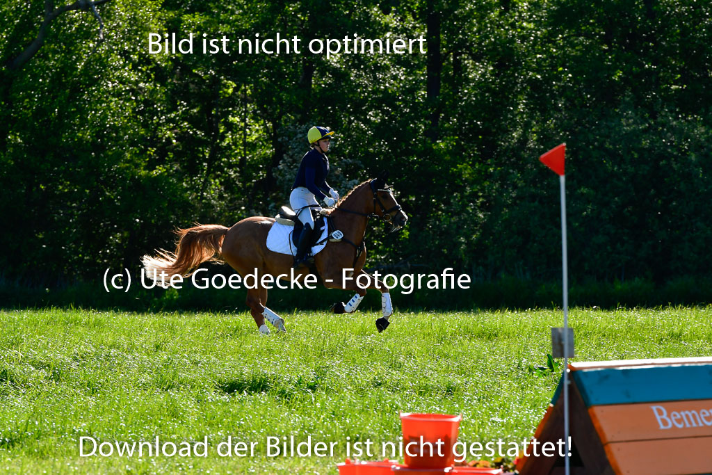 Goldene Schärpe Ponys in Hohen Luckow 1-4.6.23 | 04062023 Viola Ahlf - Feine Perle_05 