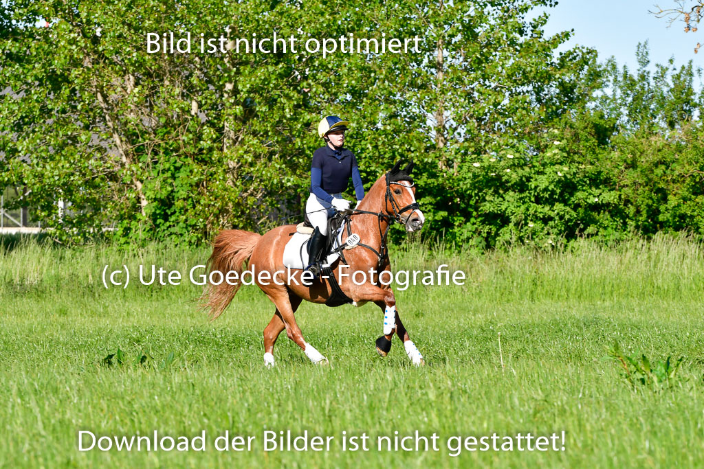 Goldene Schärpe Ponys in Hohen Luckow 1-4.6.23 | 04062023 Viola Ahlf - Feine Perle_06 