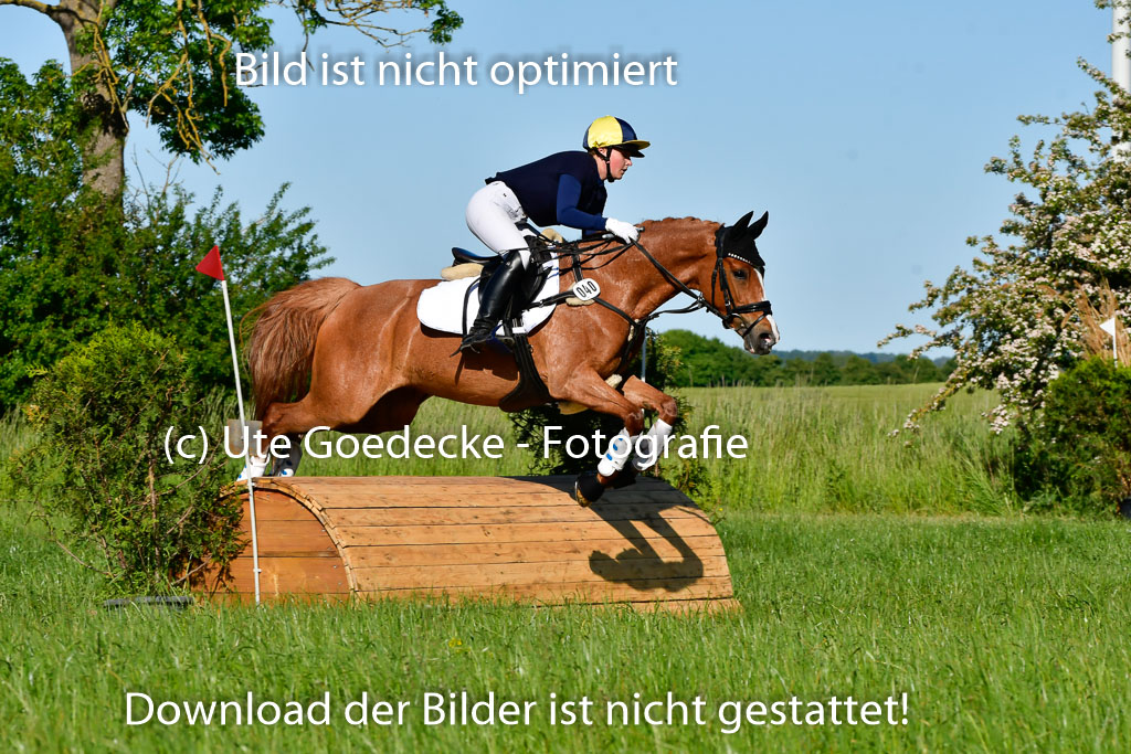 Goldene Schärpe Ponys in Hohen Luckow 1-4.6.23 | 04062023 Viola Ahlf - Feine Perle_08