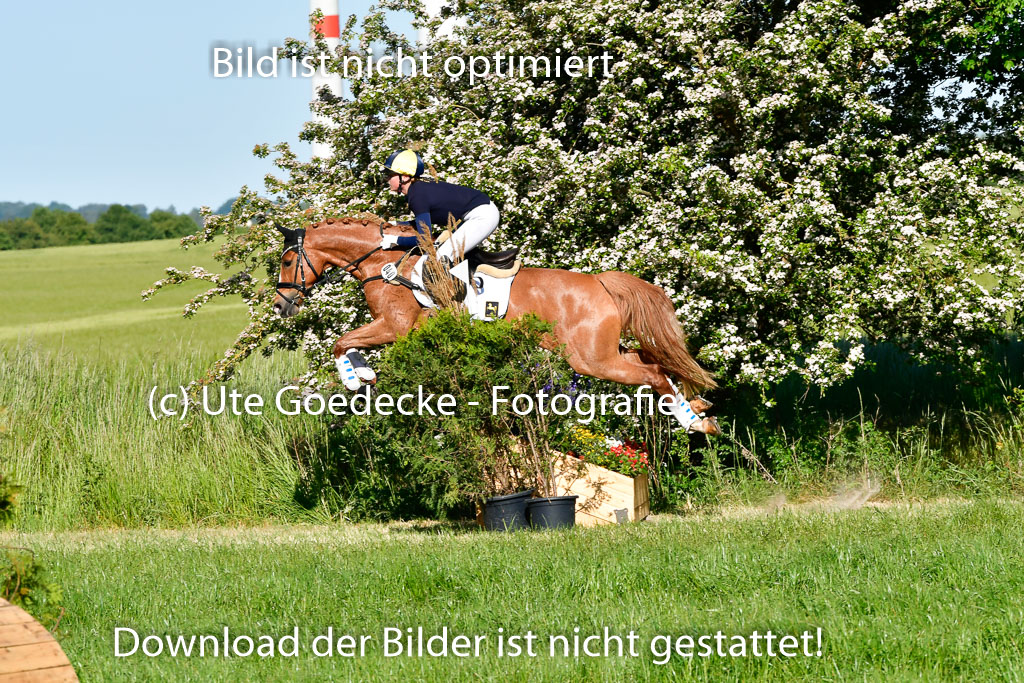 Goldene Schärpe Ponys in Hohen Luckow 1-4.6.23 | 04062023 Viola Ahlf - Feine Perle_10 