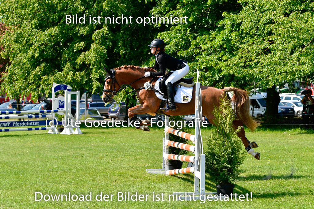 Goldene Schärpe Ponys in Hohen Luckow 1-4.6.23 | 04062023 Viola Ahlf - Feine Perle_22 