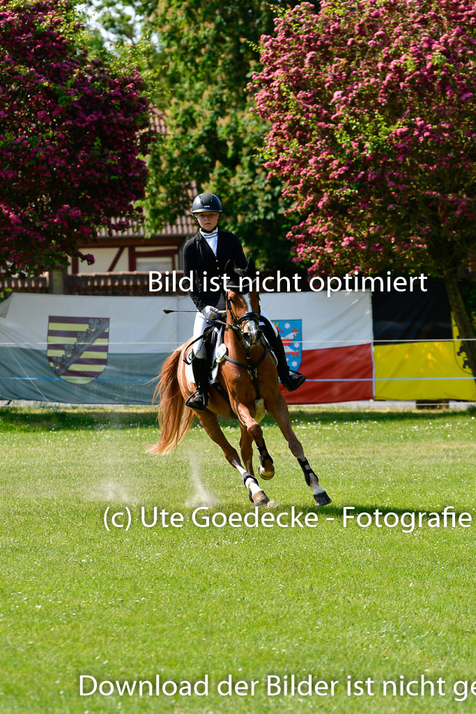 Goldene Schärpe Ponys in Hohen Luckow 1-4.6.23 | 04062023 Viola Ahlf - Feine Perle_23 