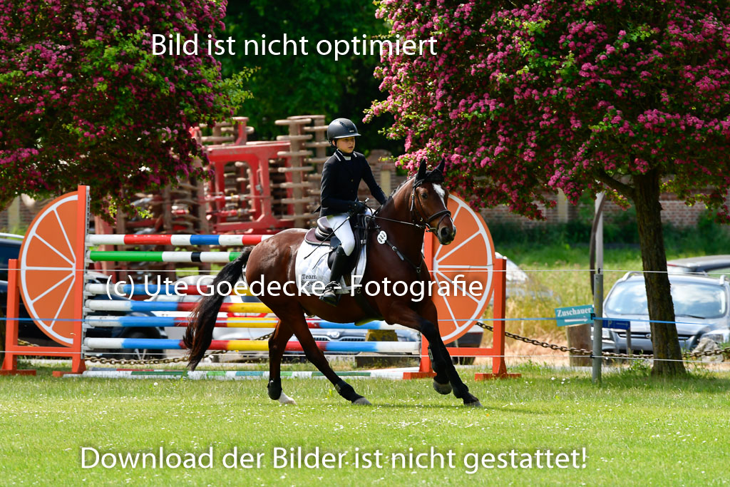 Goldene Schärpe Ponys in Hohen Luckow 1-4.6.23 | 040620923 Laura Pankratz - Fs Dolittle_13 