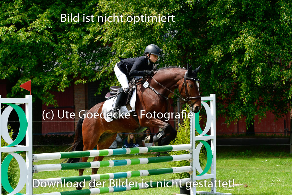 Goldene Schärpe Ponys in Hohen Luckow 1-4.6.23 | 040620923 Laura Pankratz - Fs Dolittle_16 