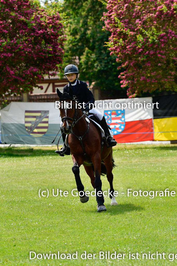 Goldene Schärpe Ponys in Hohen Luckow 1-4.6.23 | 040620923 Laura Pankratz - Fs Dolittle_18 