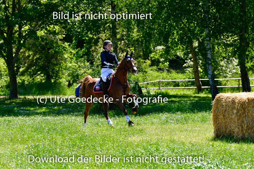 Goldene Schärpe Ponys in Hohen Luckow 1-4.6.23 | 040620923 Maily Jane Borzym - Nexus_12 