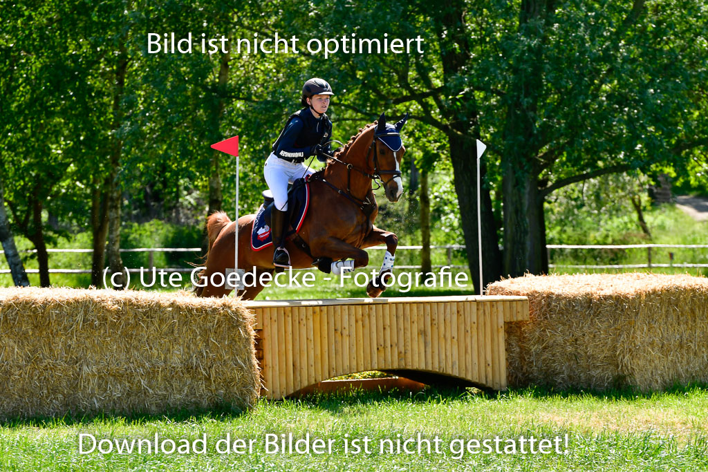 Goldene Schärpe Ponys in Hohen Luckow 1-4.6.23 | 040620923 Maily Jane Borzym - Nexus_13 