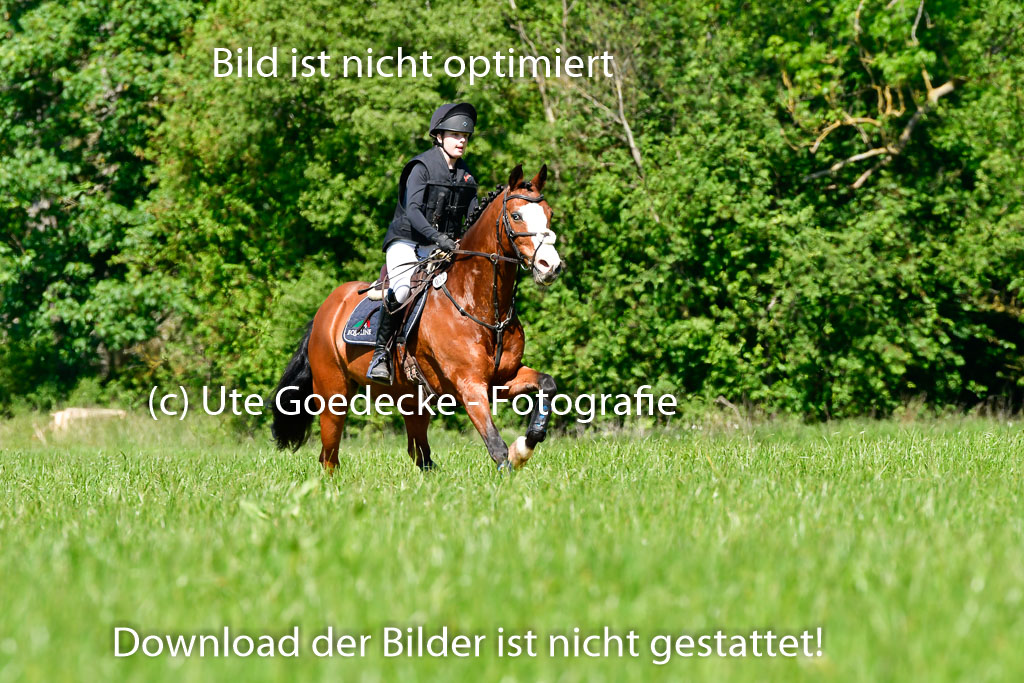 Goldene Schärpe Ponys in Hohen Luckow 1-4.6.23 | 094062023 Merle Hinrichsen - Dirty Fox_06 