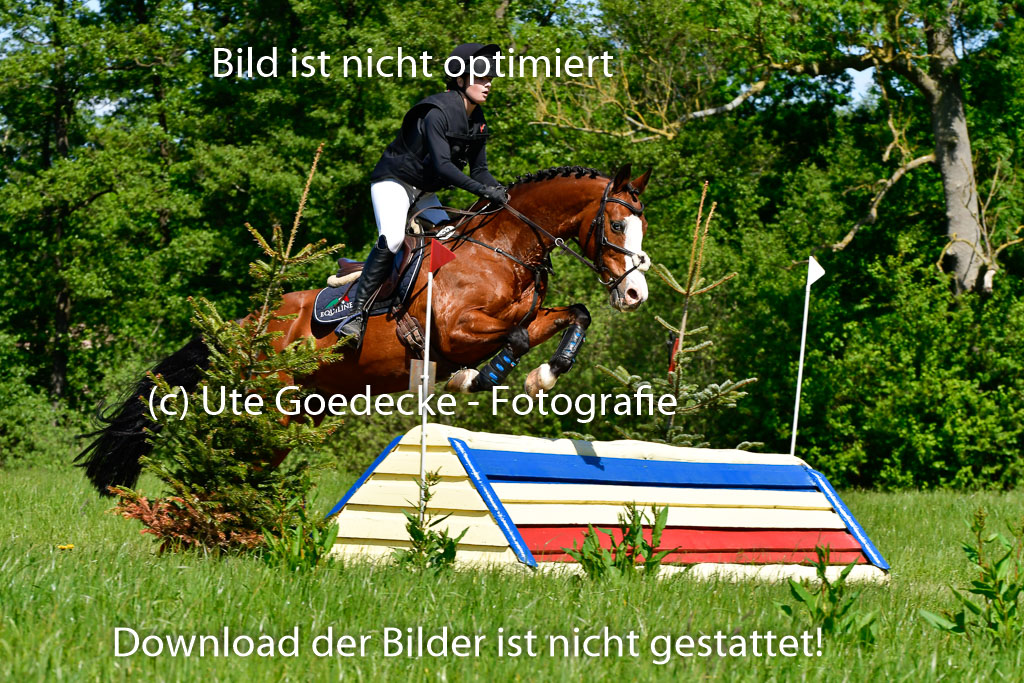 Goldene Schärpe Ponys in Hohen Luckow 1-4.6.23 | 094062023 Merle Hinrichsen - Dirty Fox_07 