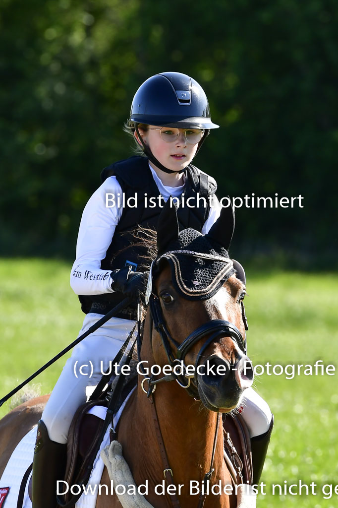 Goldene Schärpe Ponys in Hohen Luckow 1-4.6.23 | Aline Schröder - Louis_02 