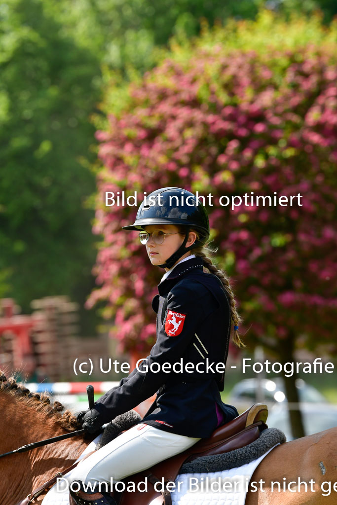 Goldene Schärpe Ponys in Hohen Luckow 1-4.6.23 | Aline Schröder - Louis_04 