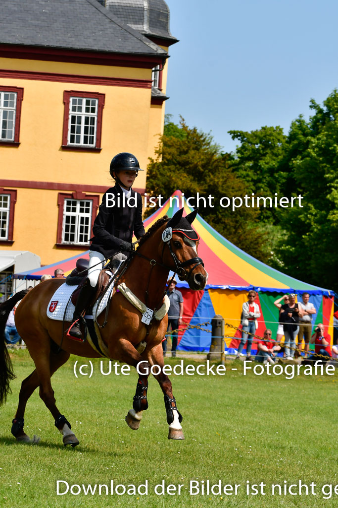 Goldene Schärpe Ponys in Hohen Luckow 1-4.6.23 | Aline Schröder - Louis_06 